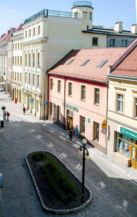 Super komfortowe mieszkanie - MTB Narty Góry Sowie Dzierżoniów Exterior foto